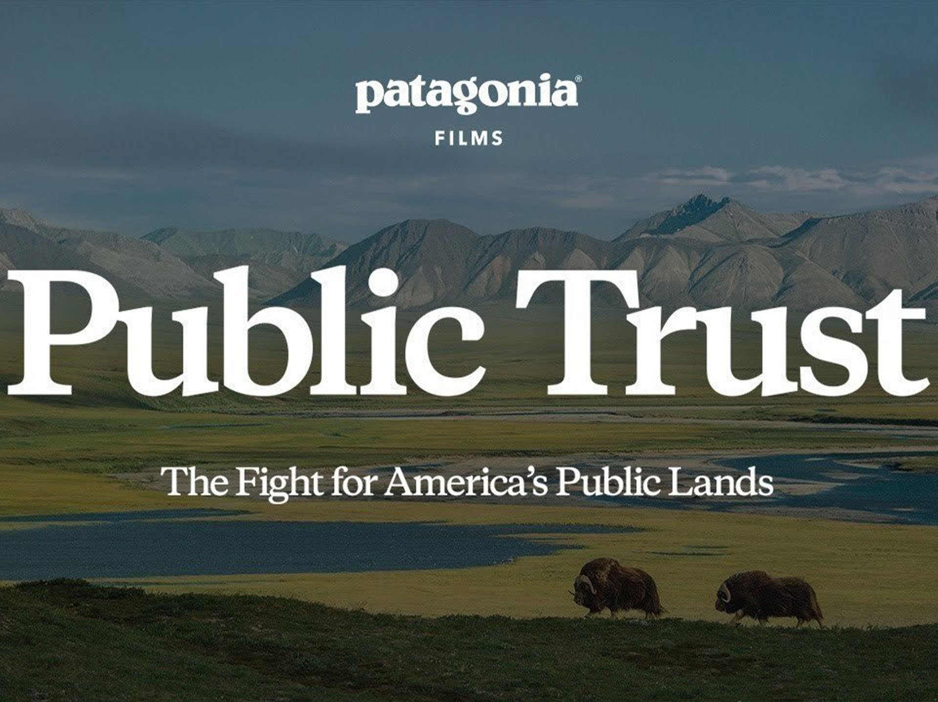 Watch Patagonia Film, Public Trust