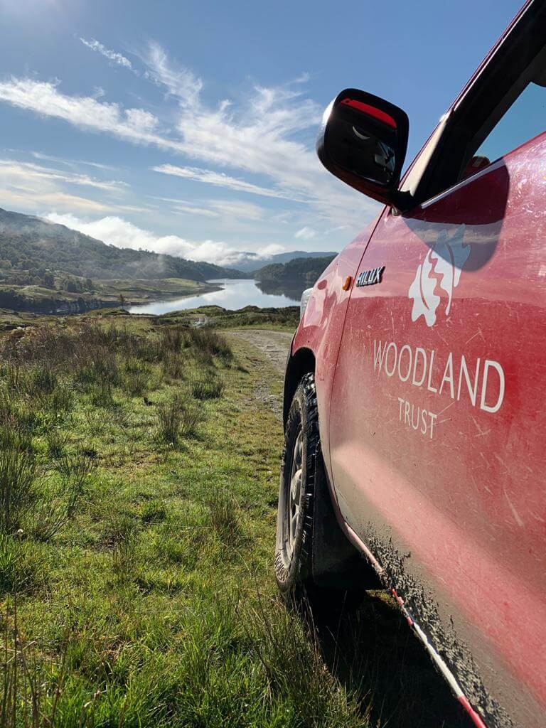 An Interview with Alistair Maltby from the Woodland Trust