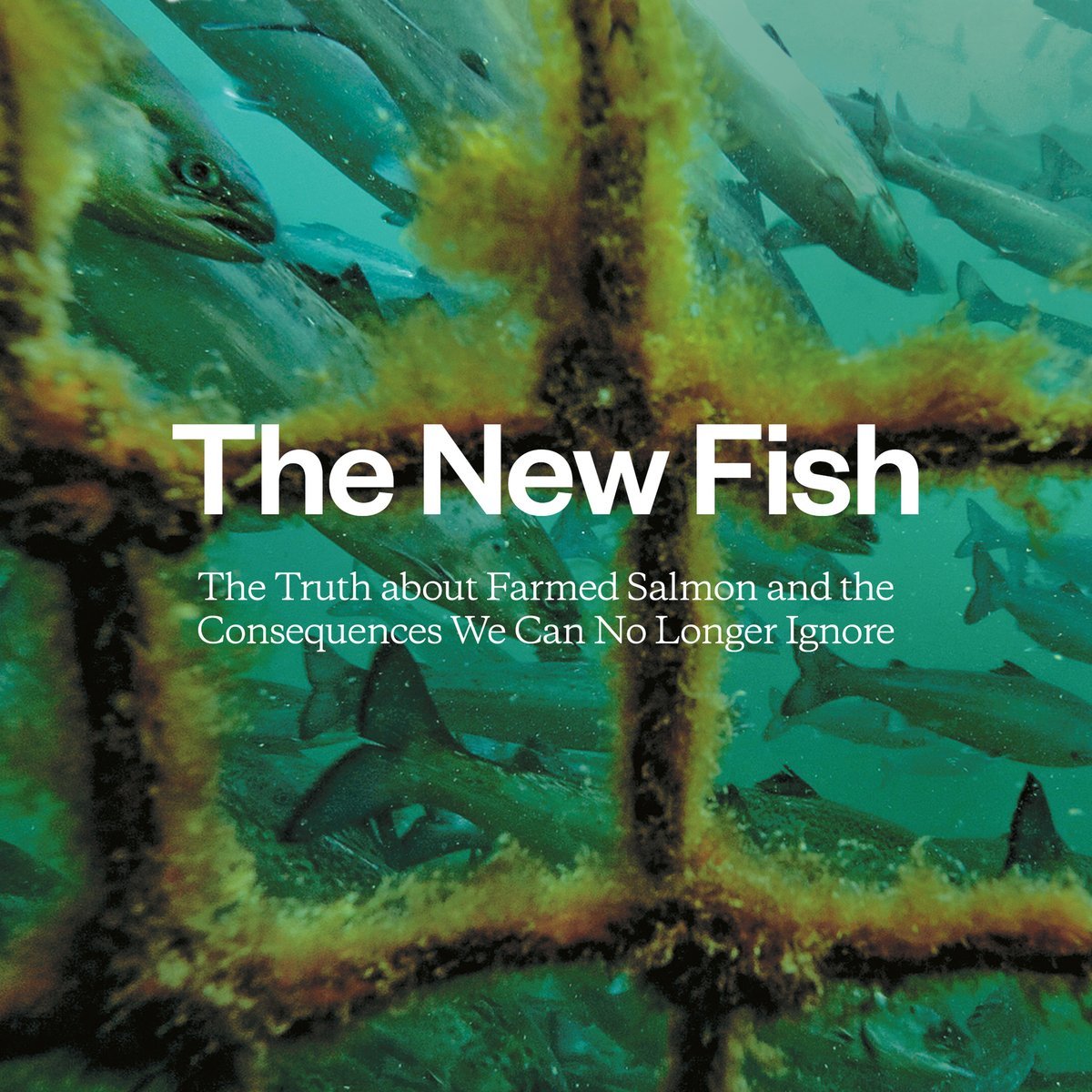 The New Fish—the new book from Patagonia