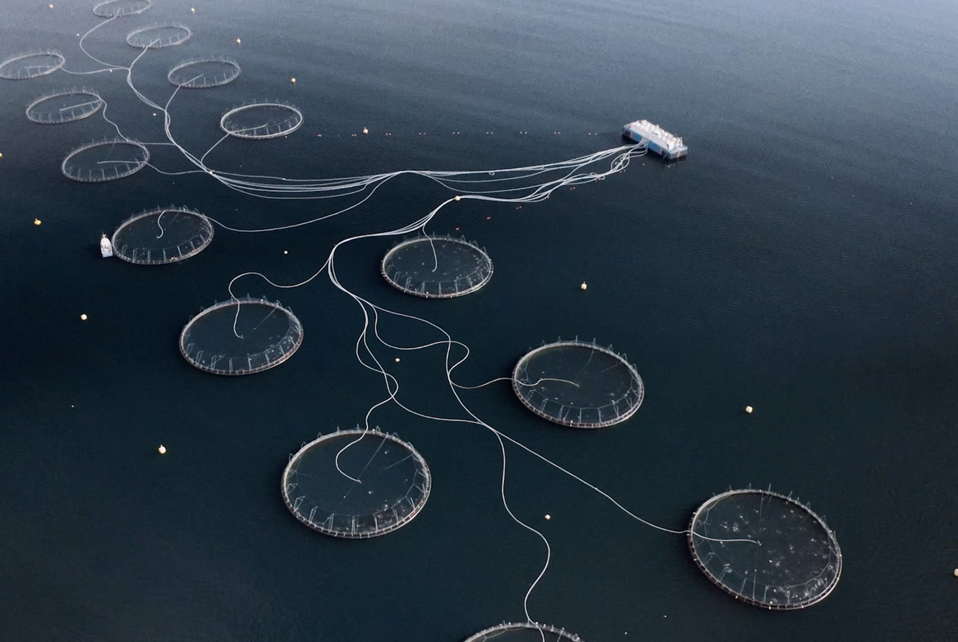 Laxaþjóð | A Salmon Nation – the New Film From Patagonia