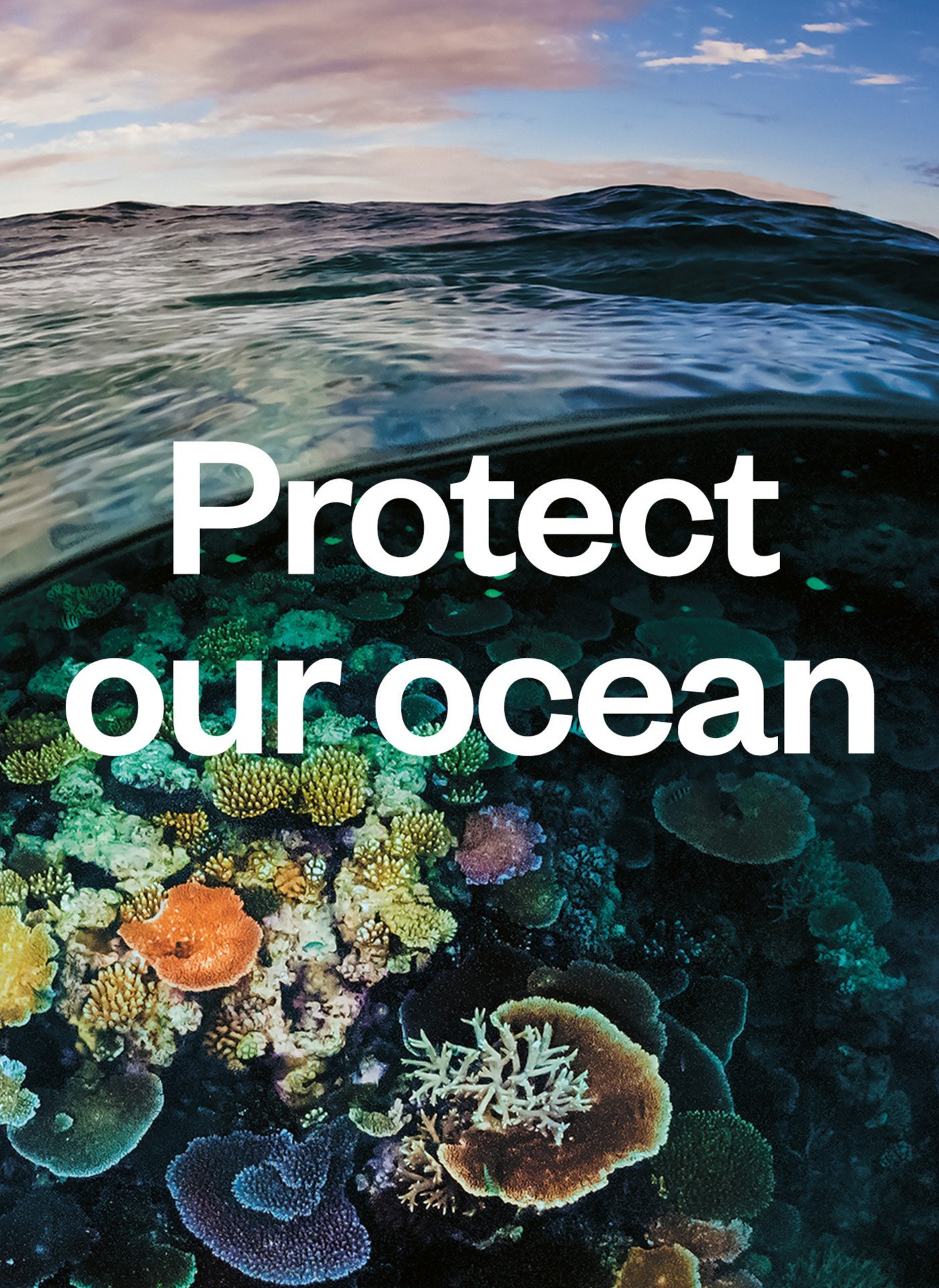 Patagonia’s Campaign Against Bottom Trawling