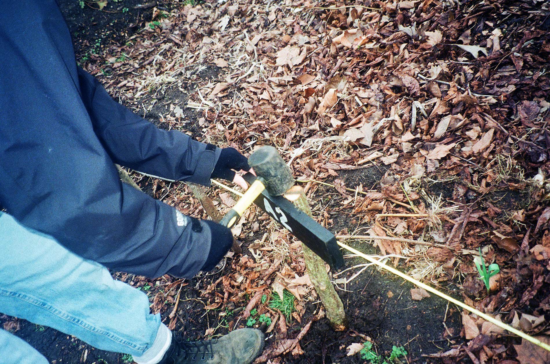 MUD-4